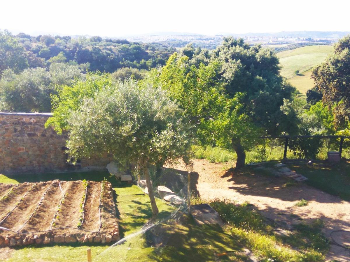 Casa Rural Bellavista Ronda Zewnętrze zdjęcie