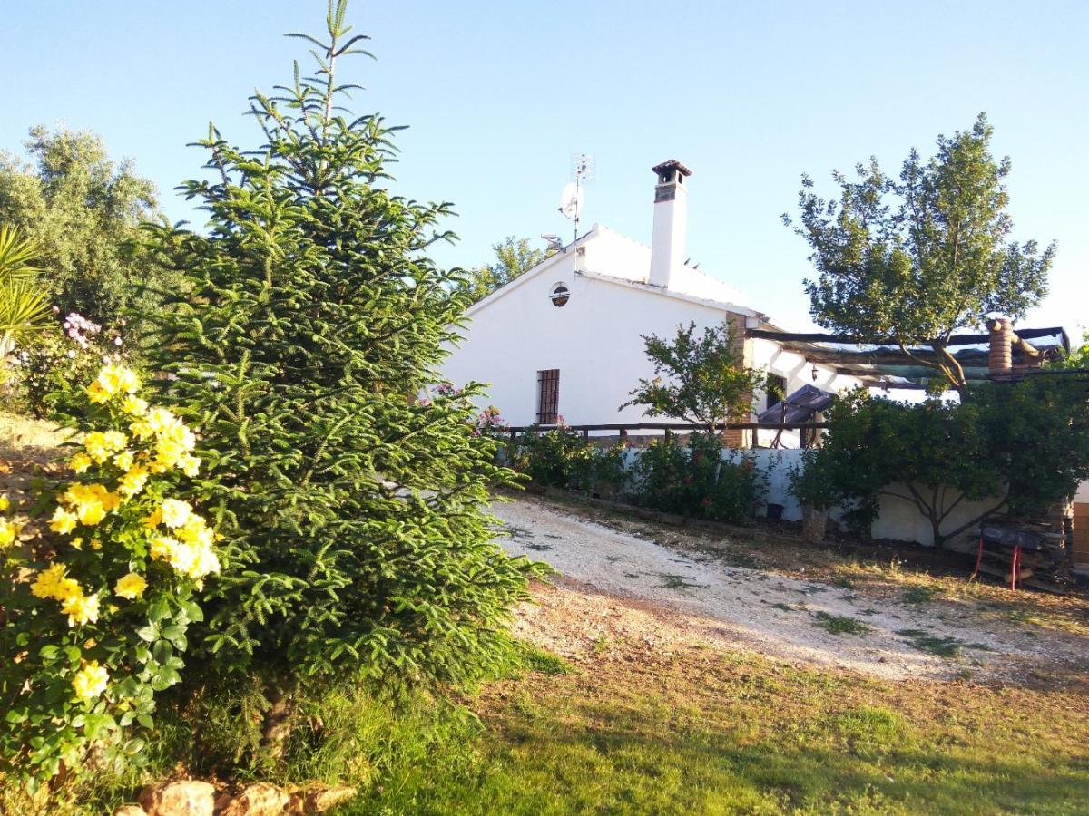 Casa Rural Bellavista Ronda Zewnętrze zdjęcie