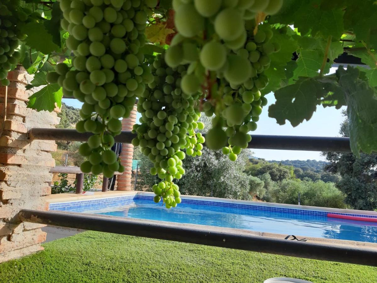 Casa Rural Bellavista Ronda Zewnętrze zdjęcie